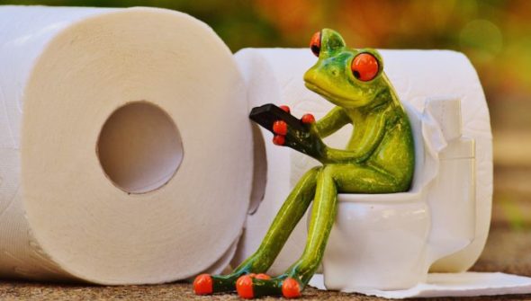 toilettes papier toilette