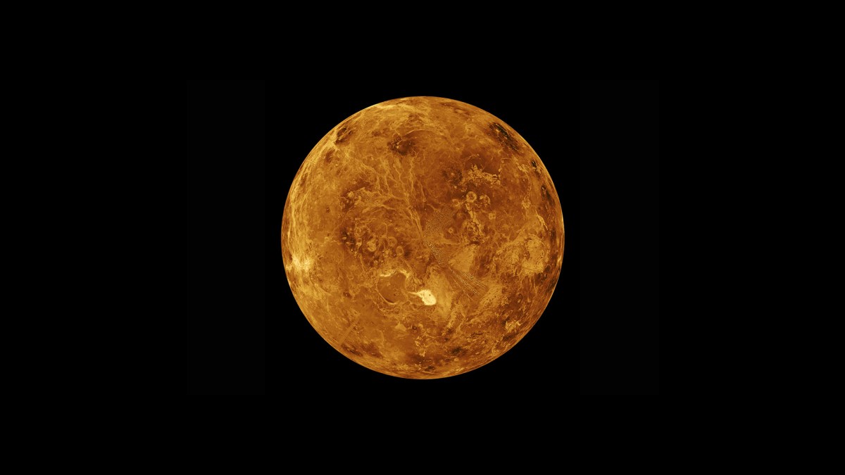 venus-surface venus-surface