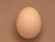 14826438599_7844c5f537_k