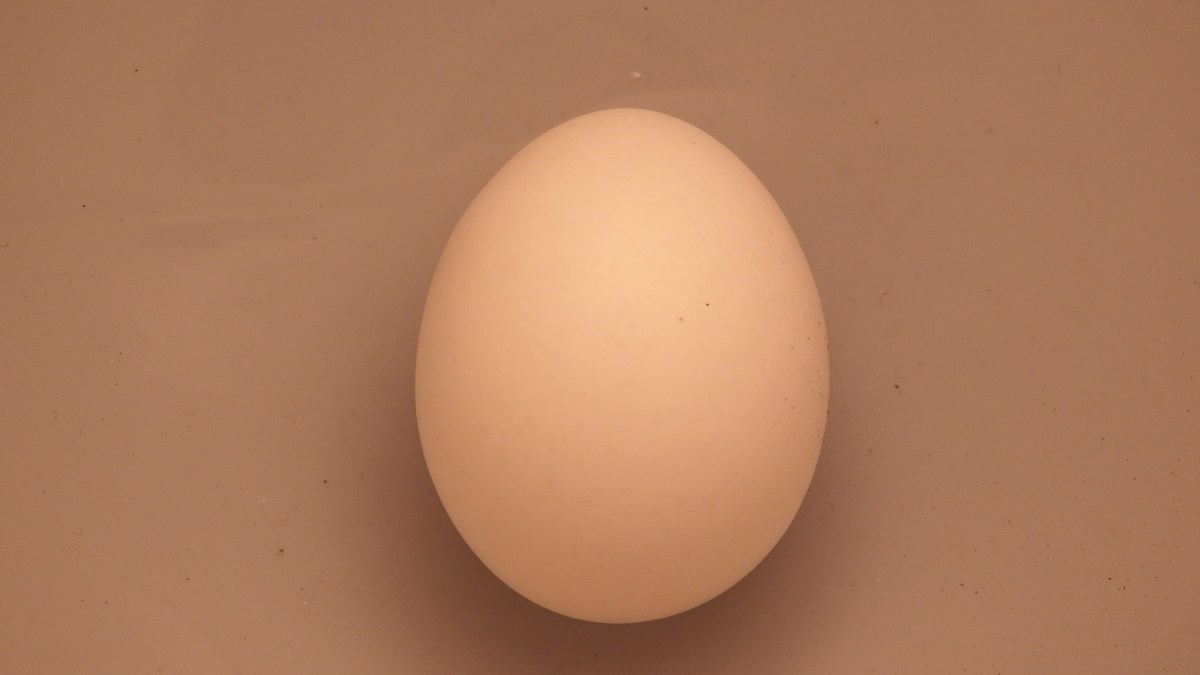14826438599_7844c5f537_k 14826438599_7844c5f537_k