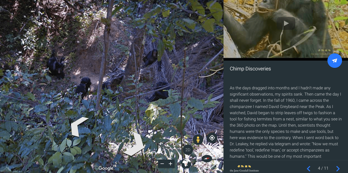 chimpanzé google earth chimpanzé google earth