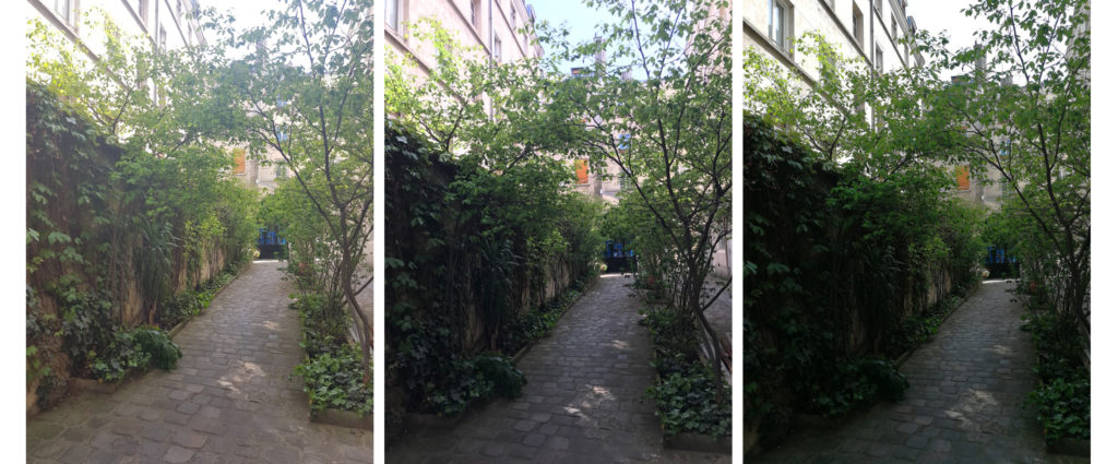 comparatif-verdure comparatif-verdure