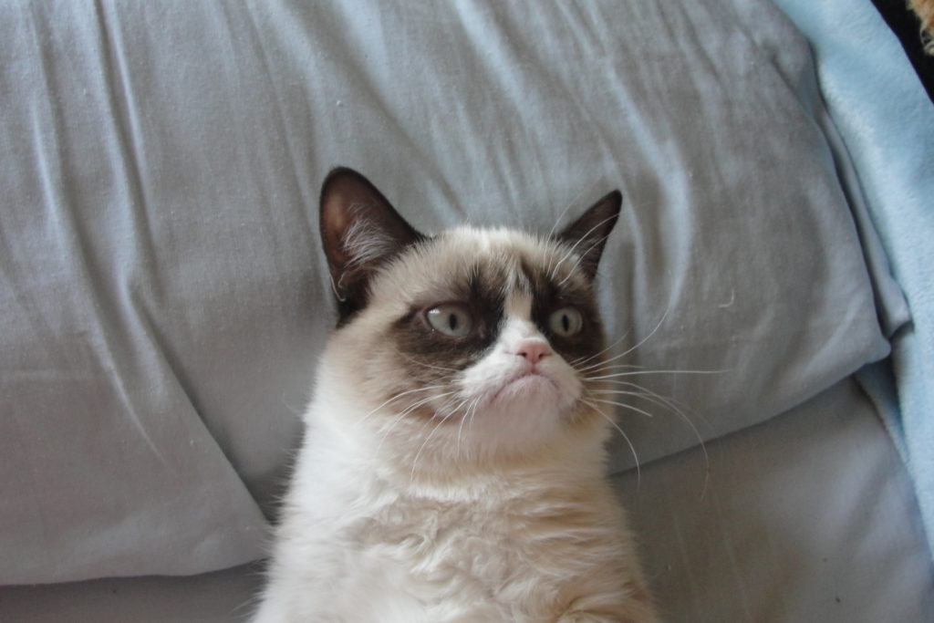 grumpy grumpy
