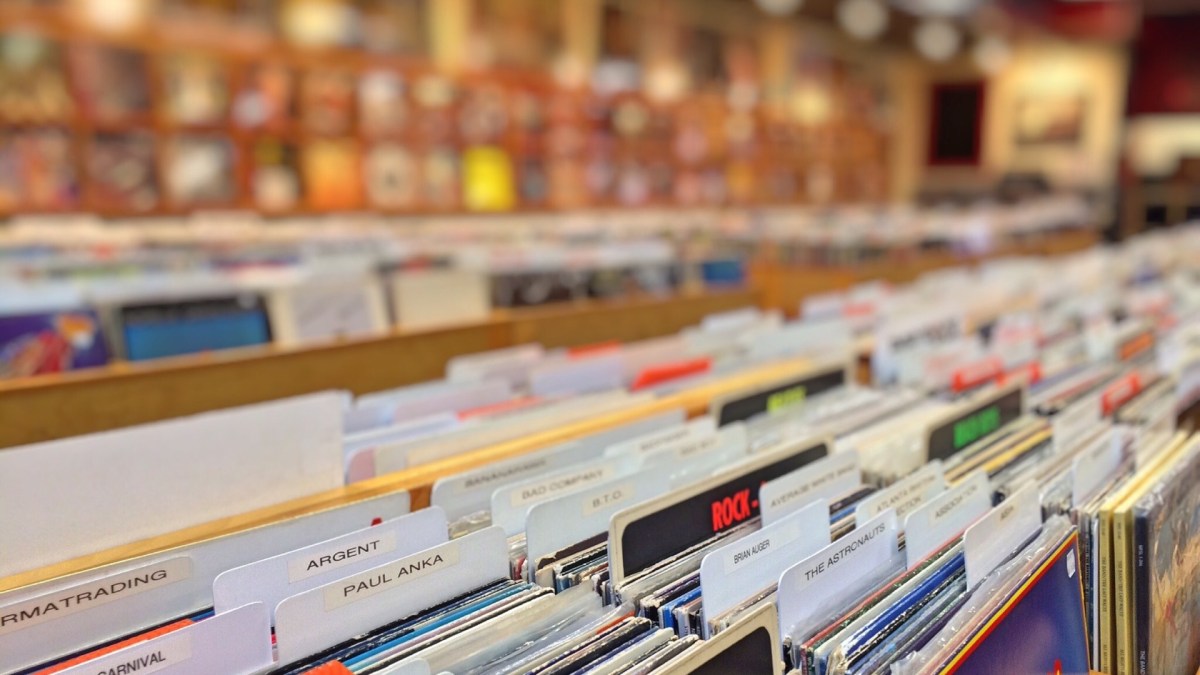 vinyle vinyle