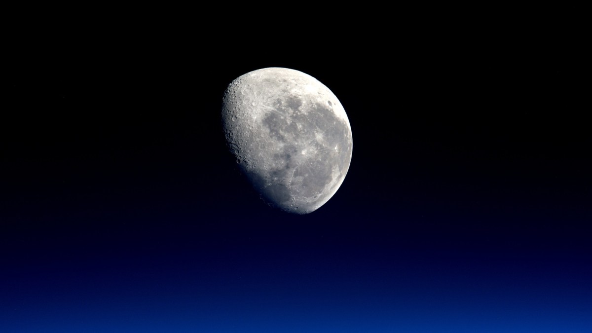 lune lune