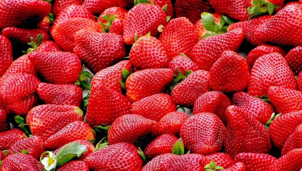 fruit-fraise fruit-fraise
