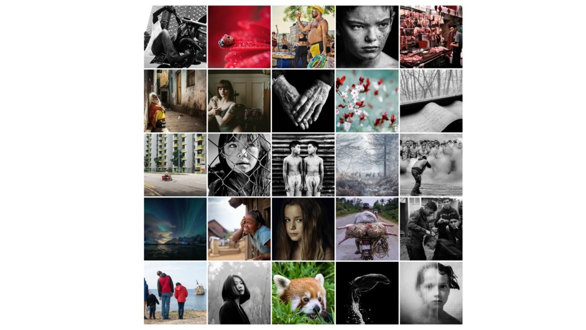 grainedephotographe grainedephotographe