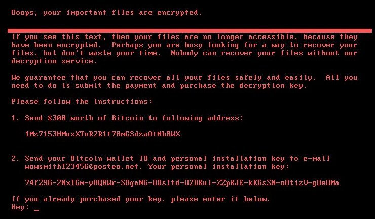 petya