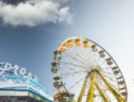 pexels-granderoue-snap