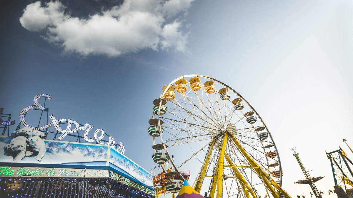 pexels-granderoue-snap pexels-granderoue-snap