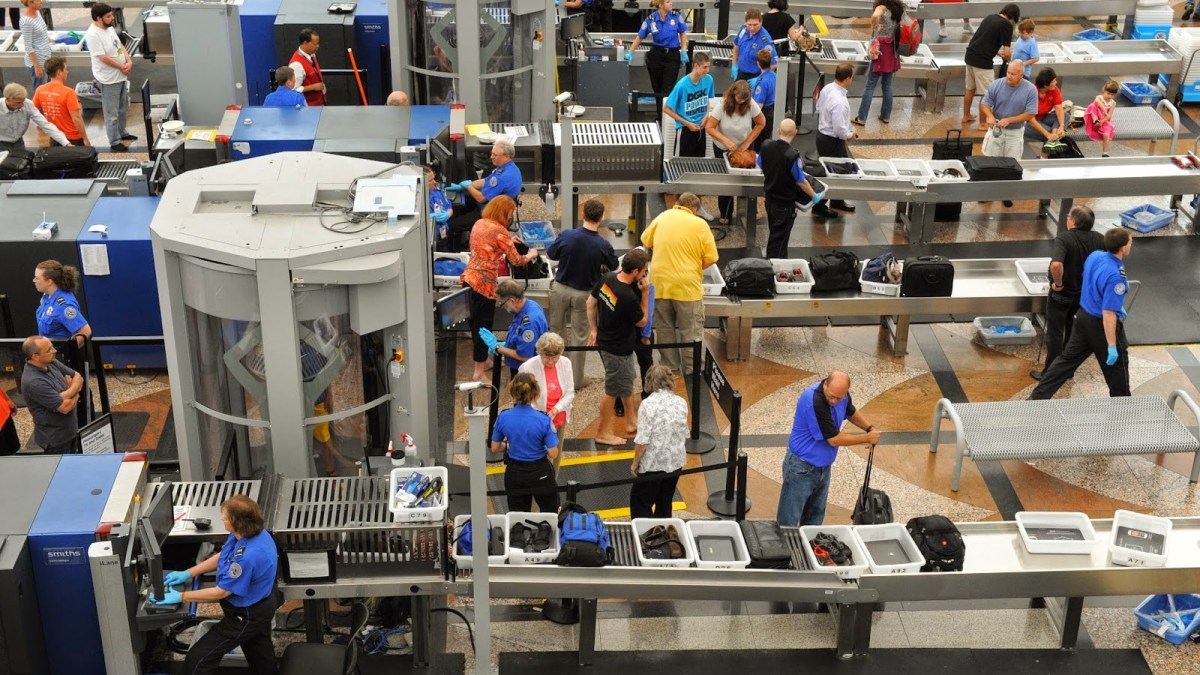 Crédits : TSA Crédits : TSA