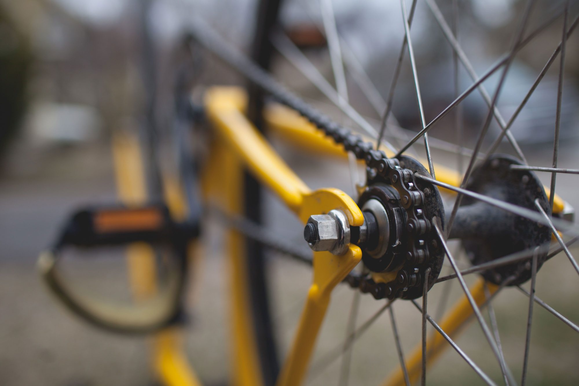 velo velo
