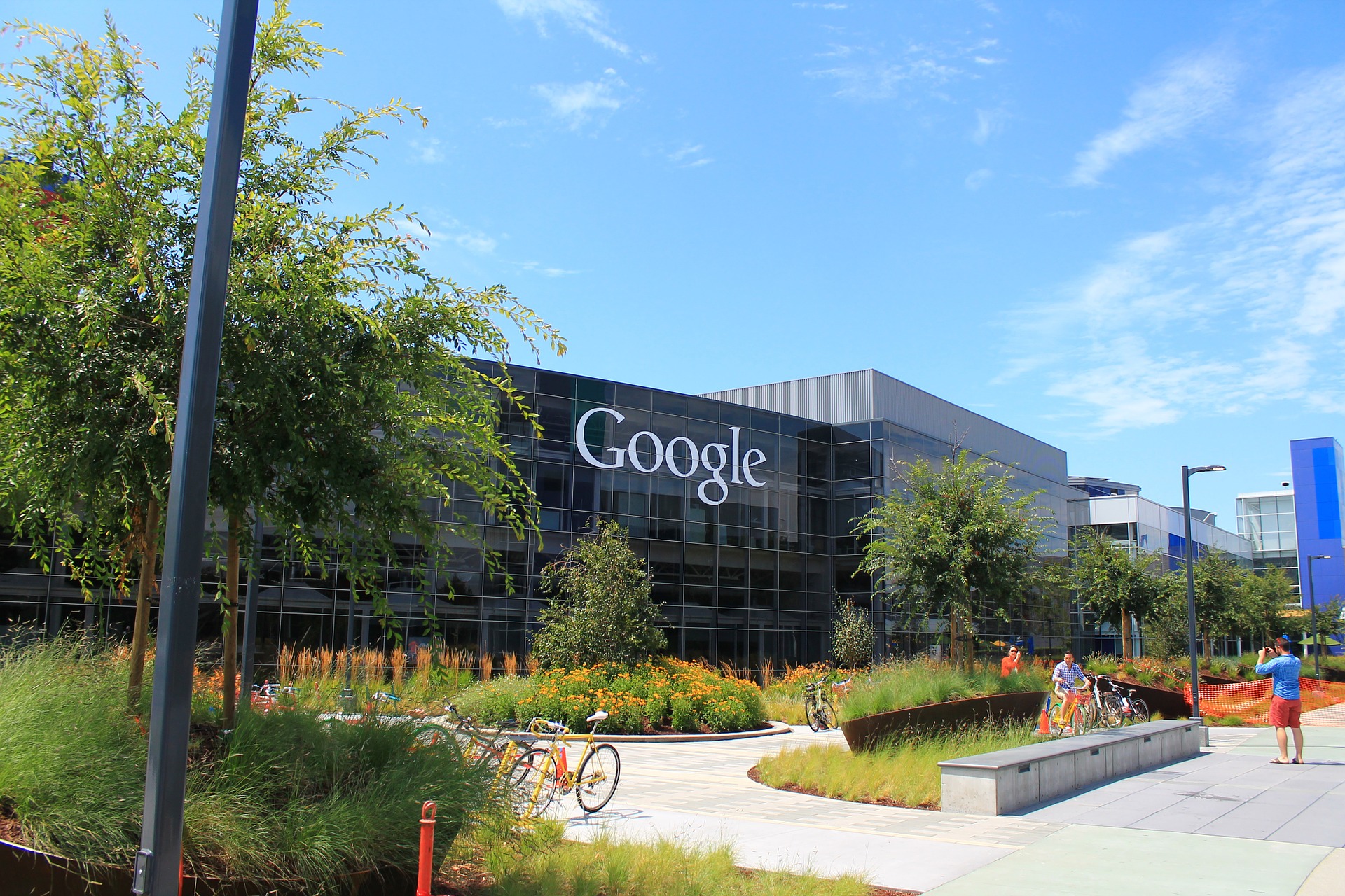 google google