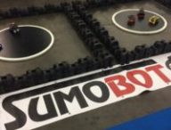 sumobot-3