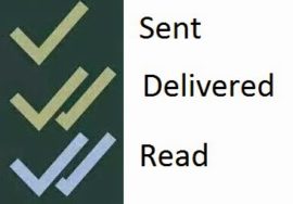 Les différents codes visuels des messageries pour témoigner de la lecture. Le « blue tick » étant le dernier, accusant réception et lecture. Les différents codes visuels des messageries pour témoigner de la lecture. Le « blue tick » étant le dernier, accusant réception et lecture.