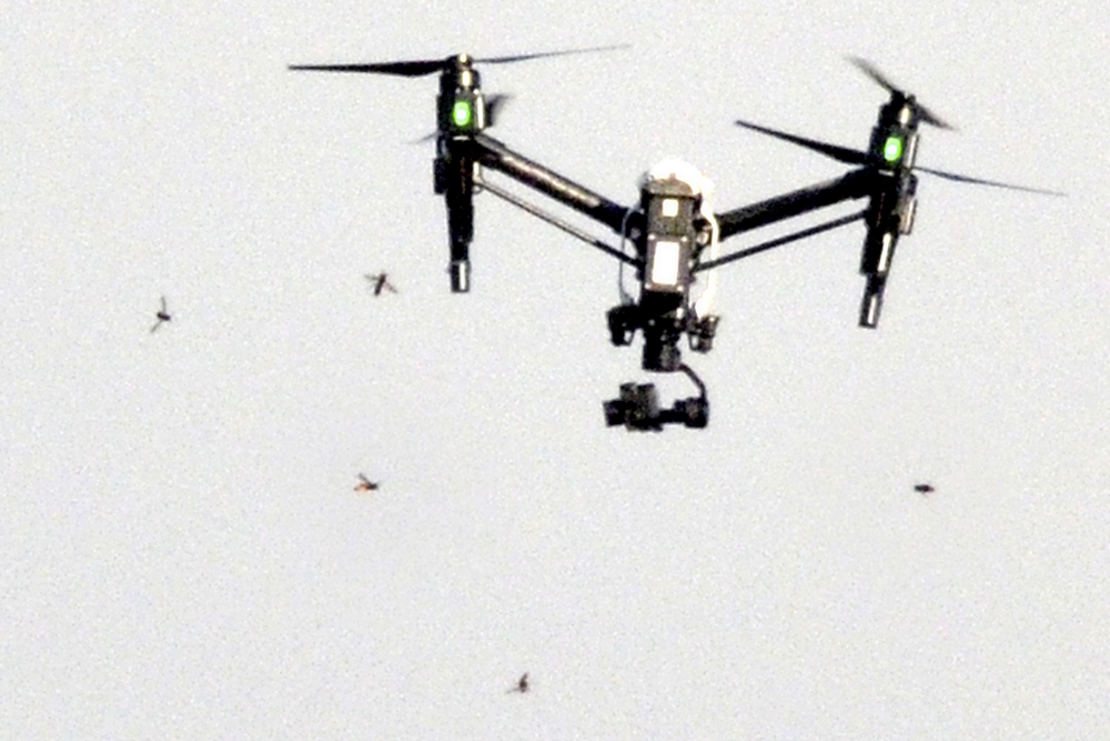 Photo du Jersey Evening Post, montrant le drone en pleine bataille. Photo du Jersey Evening Post, montrant le drone en pleine bataille.