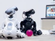 AIBO BROCHURE_ENG_2004.indd
