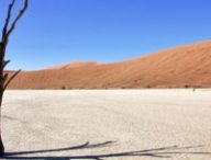 desert