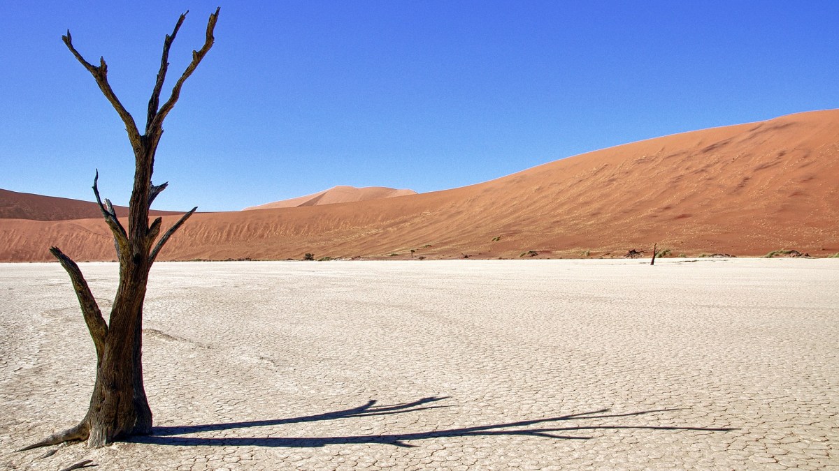 desert desert