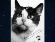 felicette
