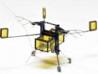 robobee