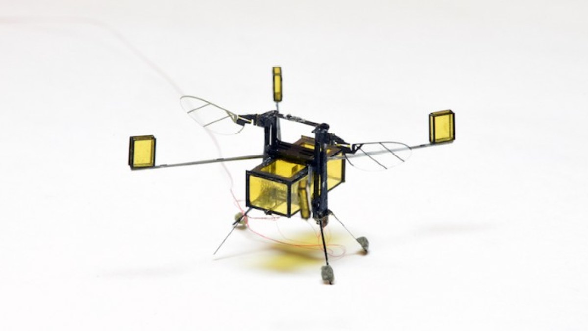 robobee robobee