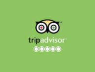 tripadvisor-une