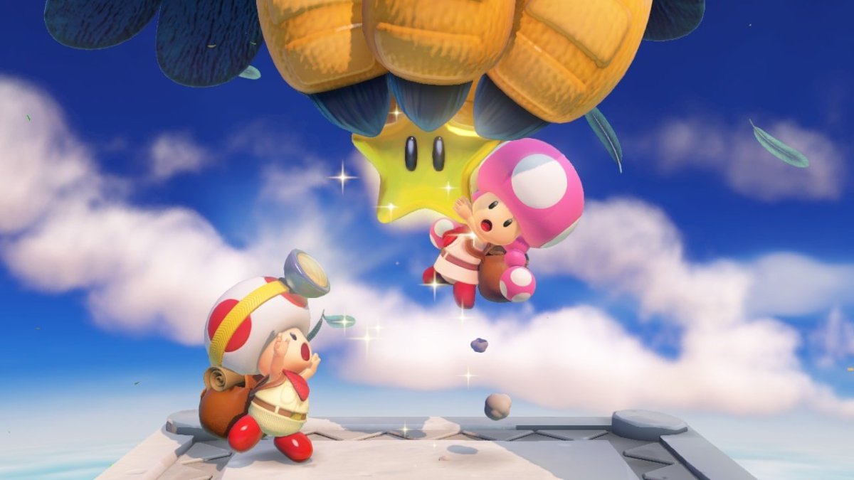 Toad Nintendo Toad Nintendo