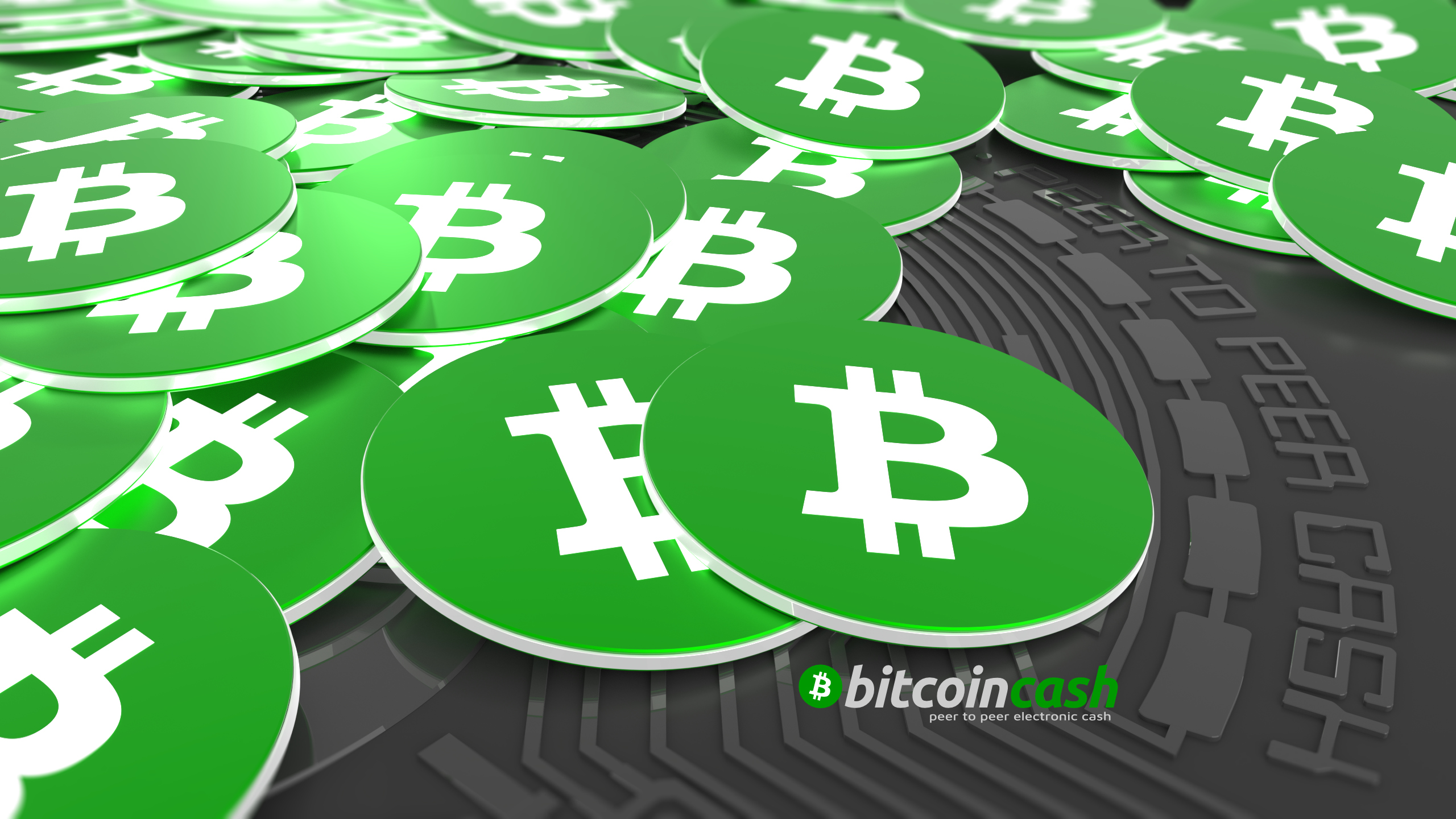 bitcoin-cash bitcoin-cash