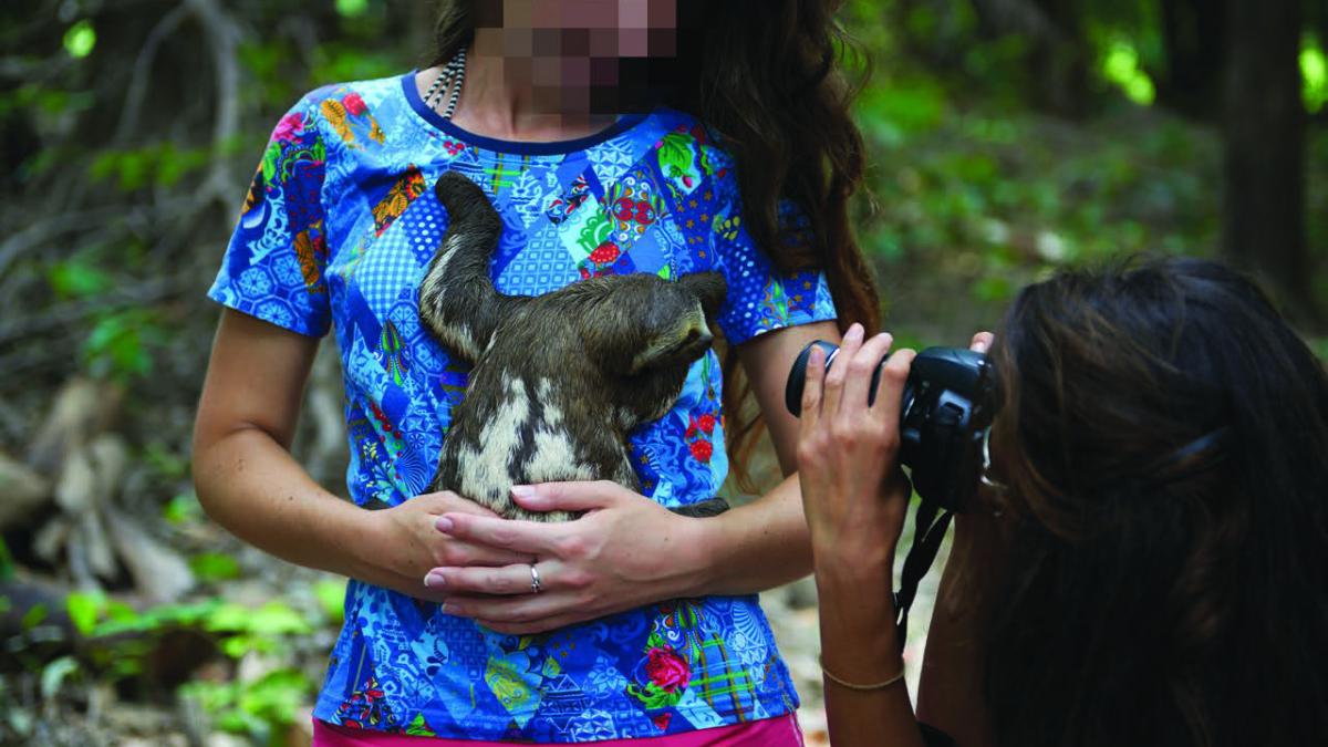World Society for the Protection of Animals World Society for the Protection of Animals
