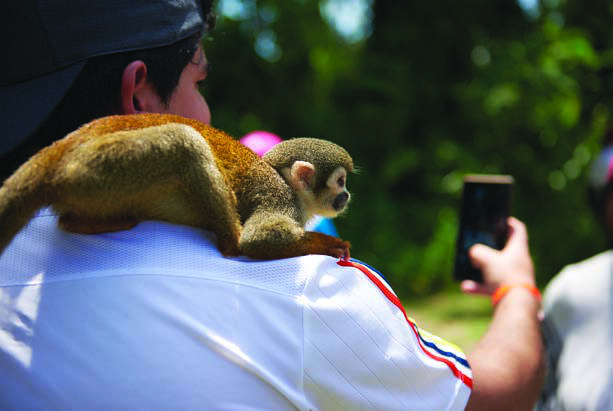 World Society for the Protection of Animals World Society for the Protection of Animals