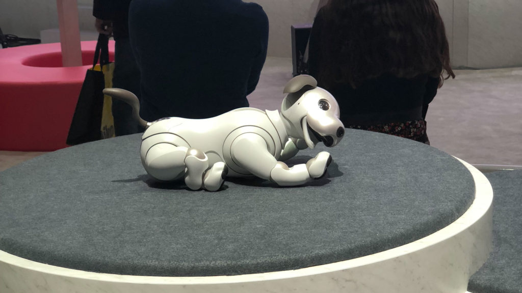 aibo-2 aibo-2
