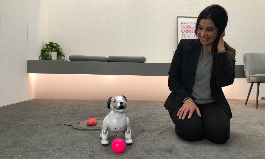 aibo-3 aibo-3