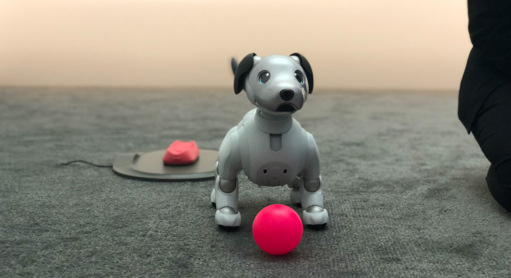 Le robot Aibo // Source : Numerama Le robot Aibo // Source : Numerama