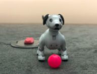 Le robot Aibo // Source : Numerama