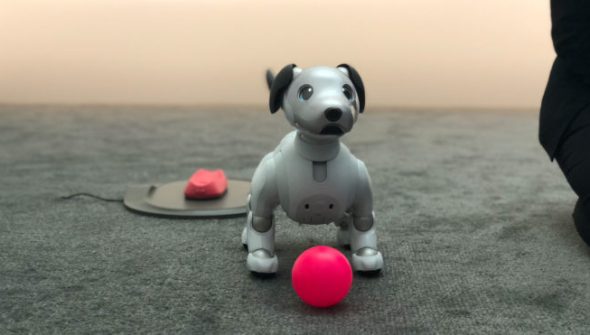 Le robot Aibo // Source : Numerama