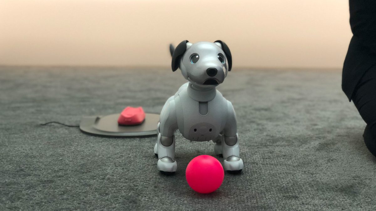 Le robot Aibo // Source : Numerama Le robot Aibo // Source : Numerama