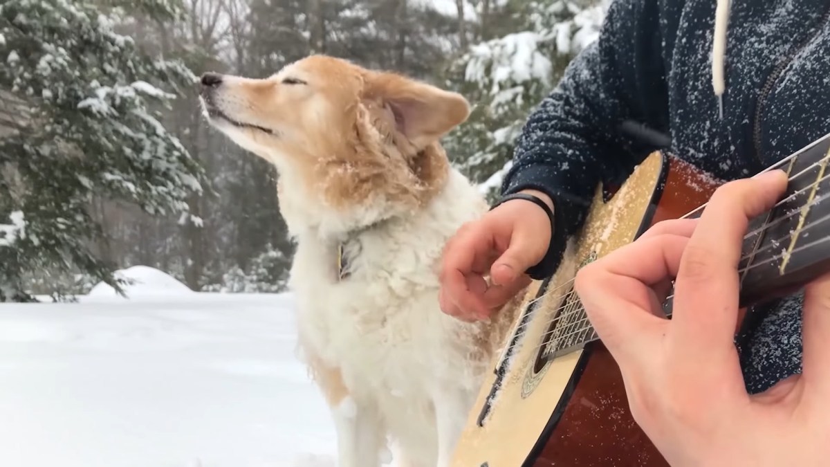 AcousticTrench AcousticTrench