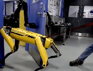 spotgif