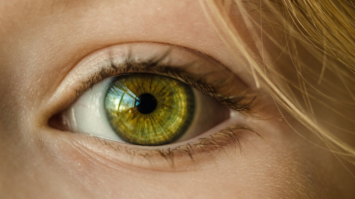 yeux-oeil yeux-oeil