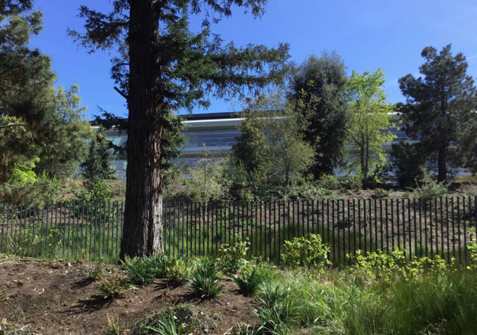 apple_park_1 apple_park_1