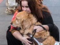 guidedog microsoft app soundscape
