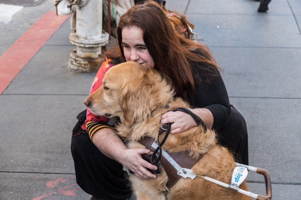 guidedog microsoft app soundscape guidedog microsoft app soundscape