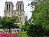 paris verdure biodiversité