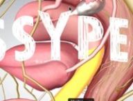 Pussypedia