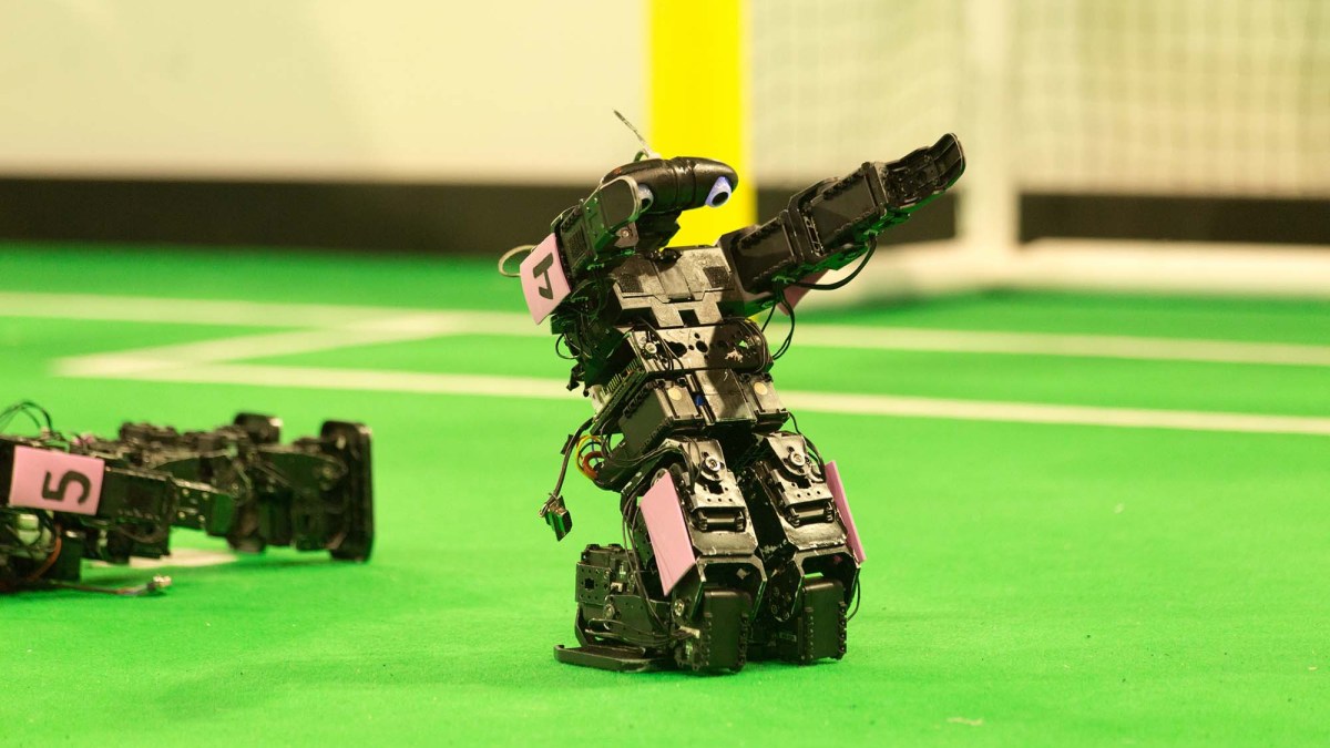 Goooaaaal ! // Source : RoboCup2013 Goooaaaal ! // Source : RoboCup2013