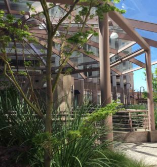 cupertino_city_center