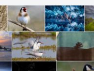 La nouvelle interface de Flickr.