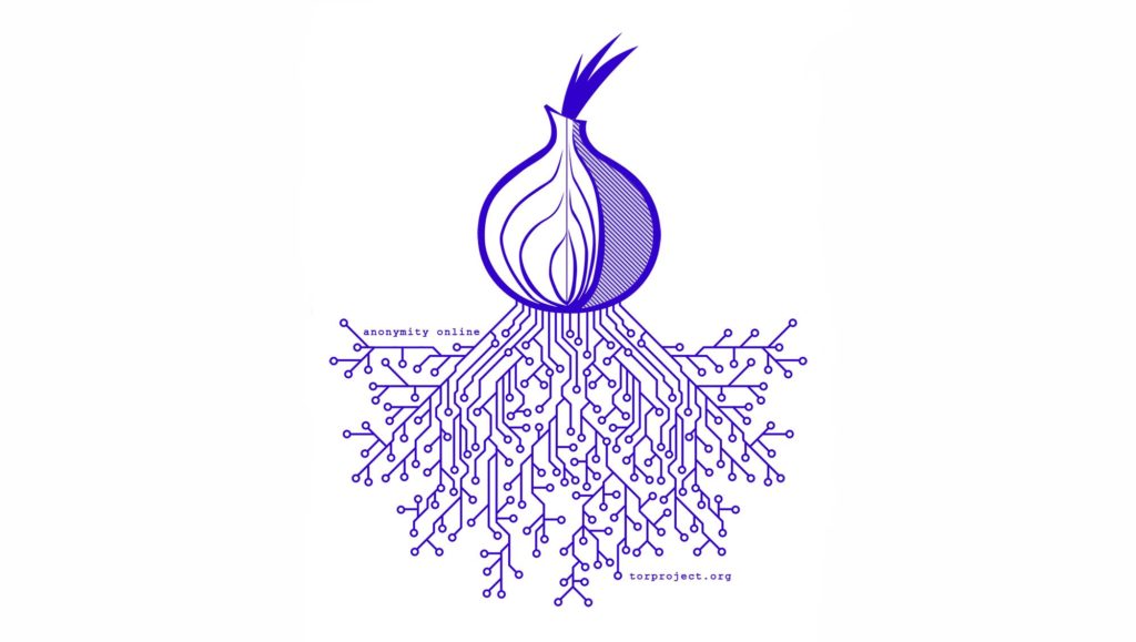 tor root tor root