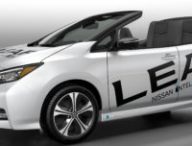 Nissan Leaf Open Car